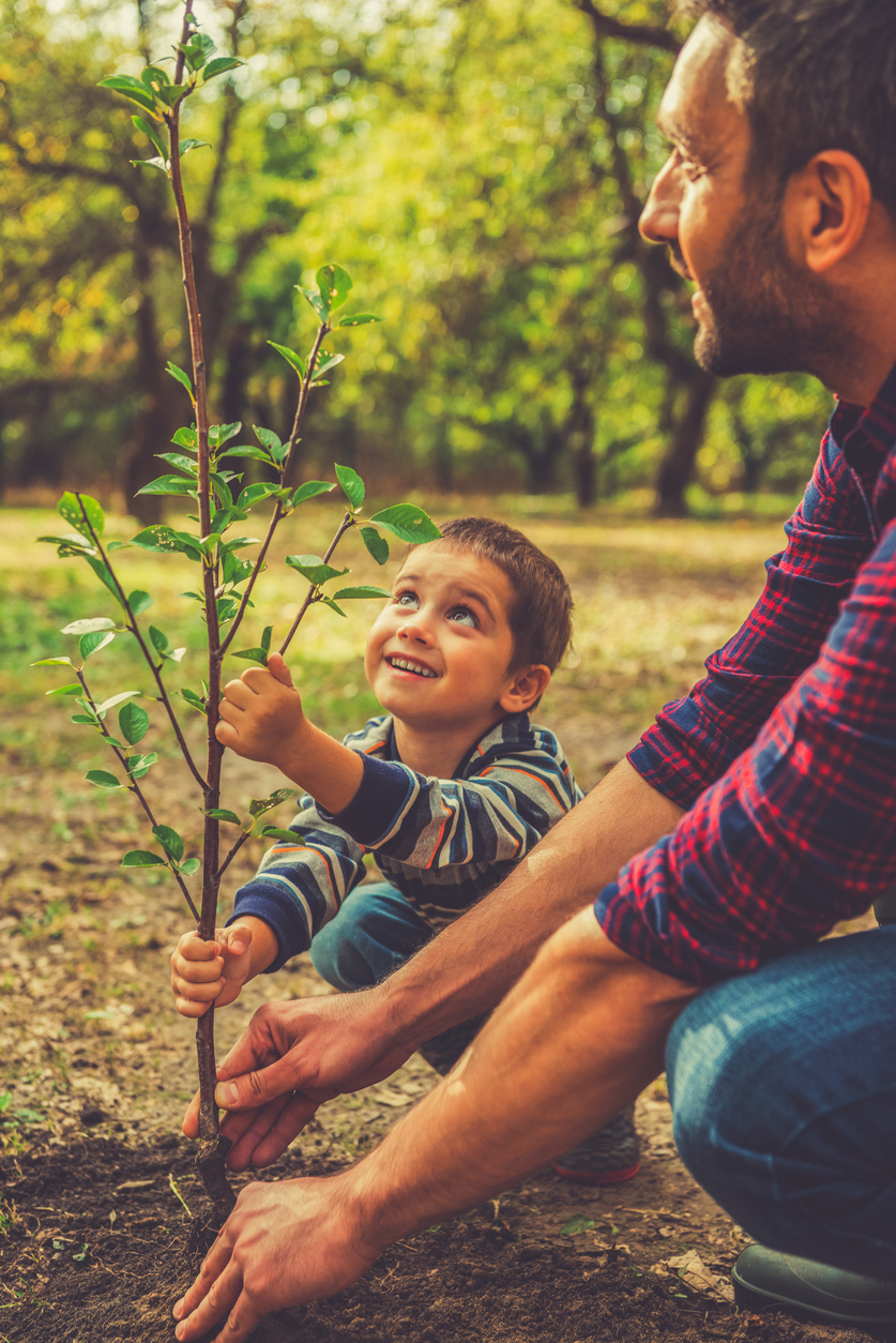 DigiHype Media Tree Planting Initiative | Mississauga Digital Marketing