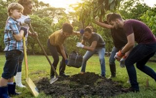 eco friendly tree planting initiative